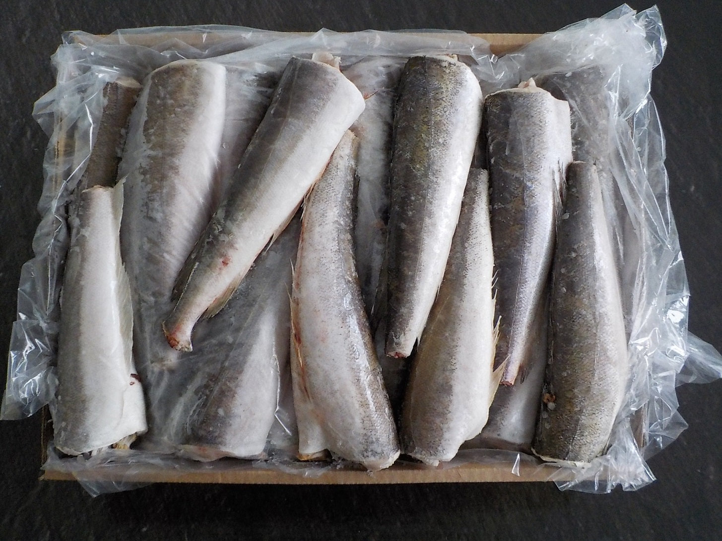 Hake Hubbsi HGT IWP (500-800g)