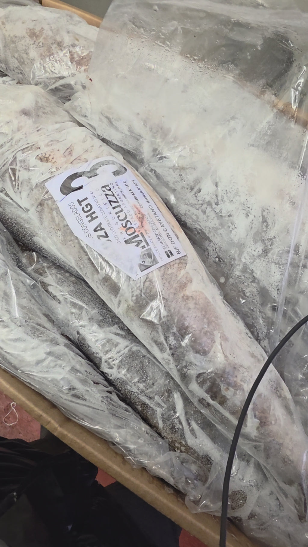 Hake Hubbsi HGT IWP (800-1200g)