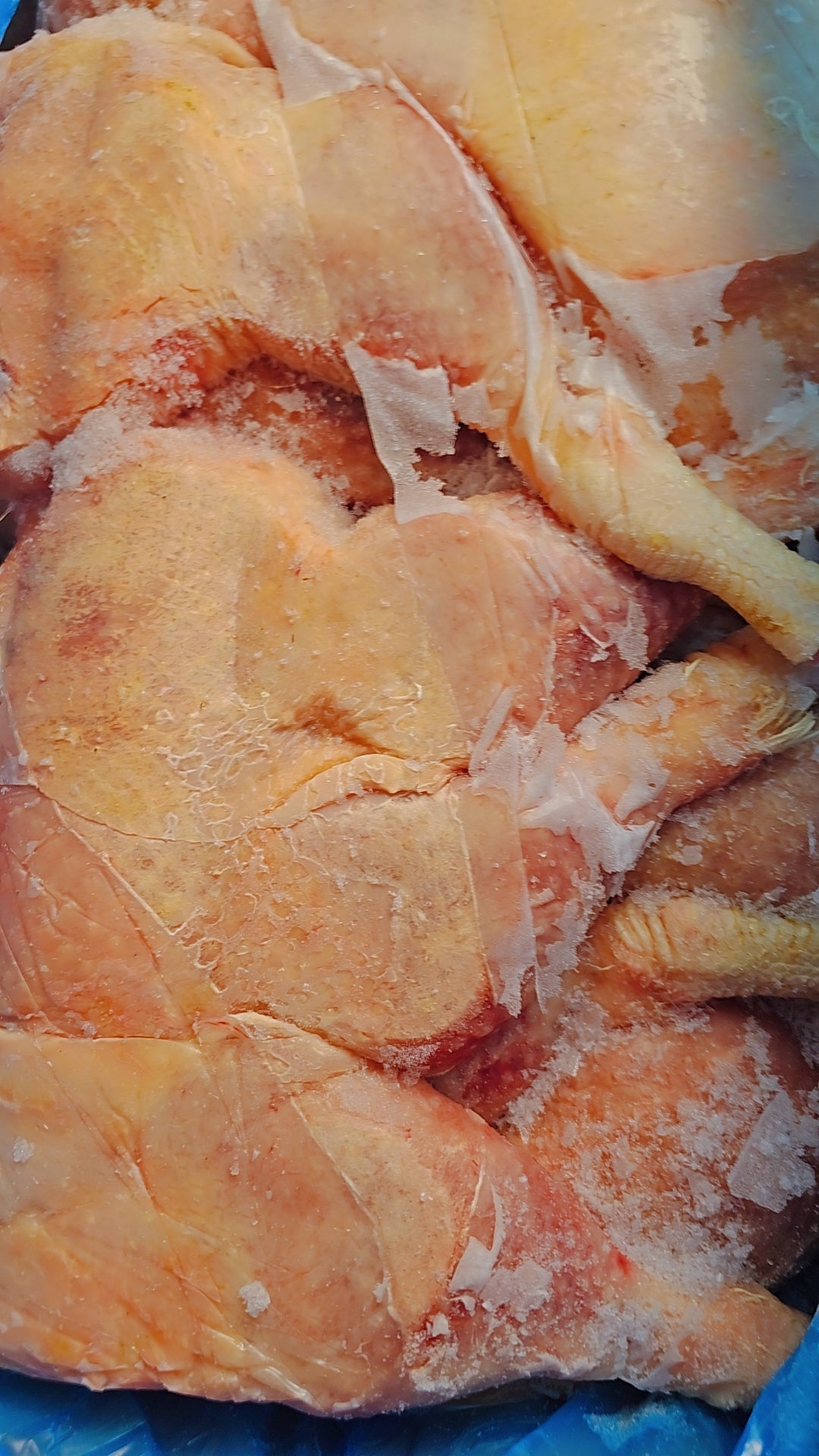 Jumbo hard Chicken Laps(HCF or Jolly Breeders Legs/Laps) freshly slaughtered.