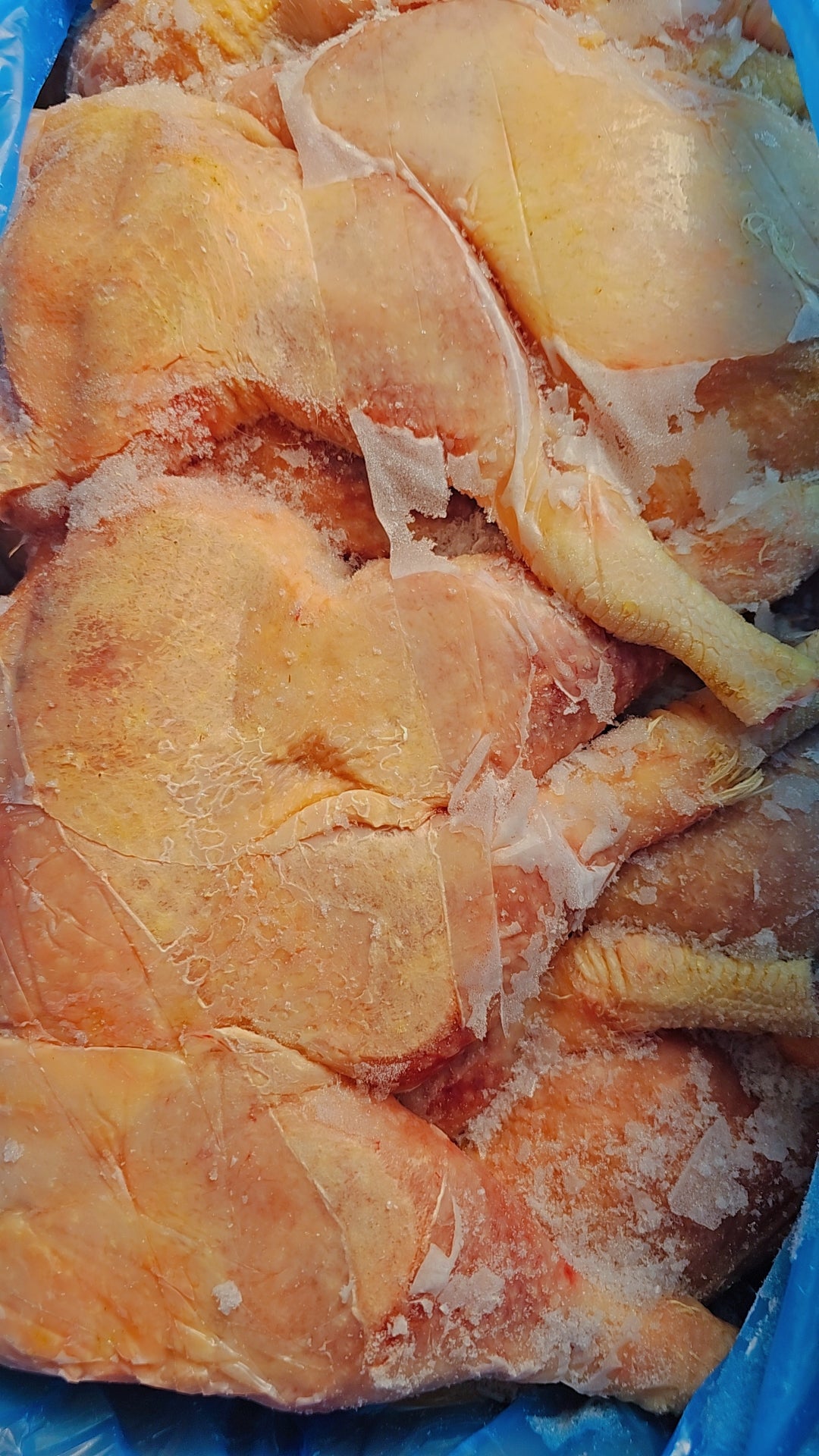 Jumbo hard Chicken Laps(HCF or Jolly Breeders Legs/Laps) freshly slaughtered.
