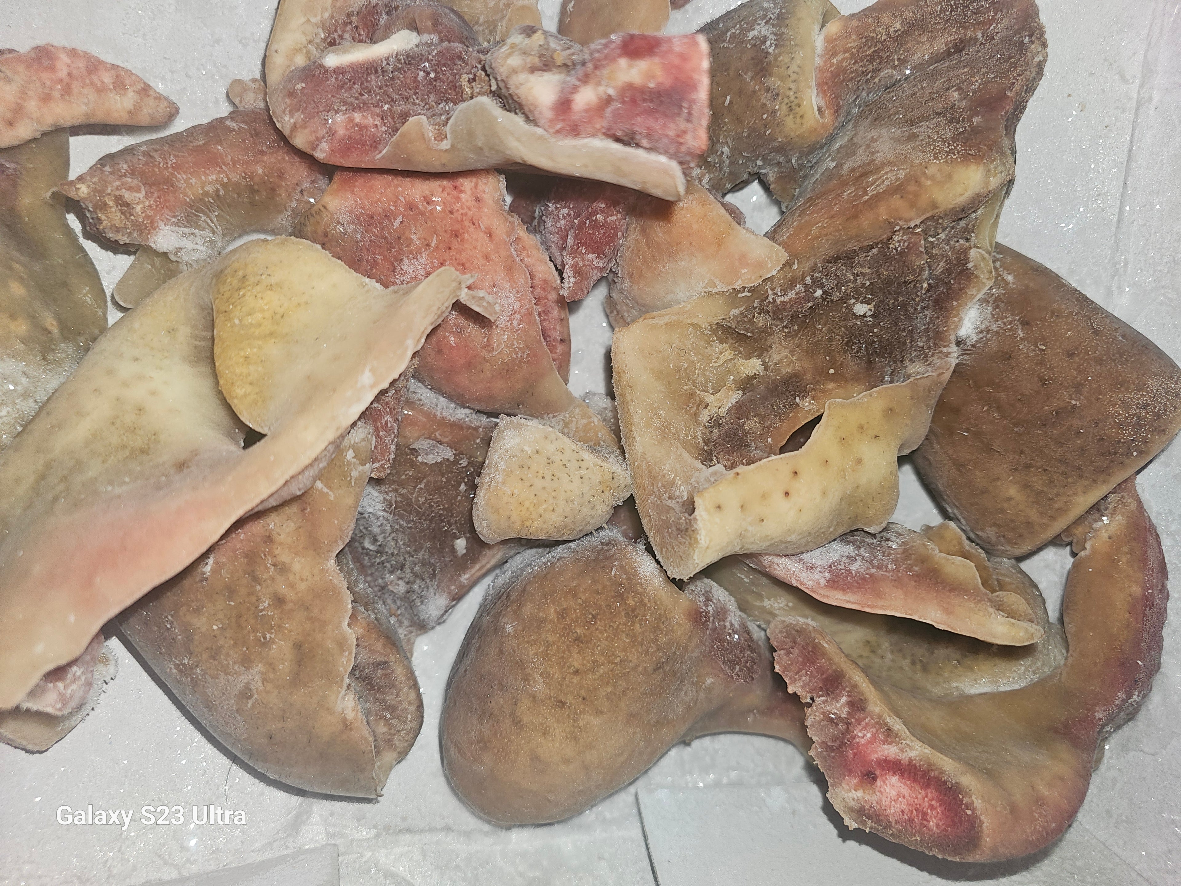 Beef snouts(Igi Imu)