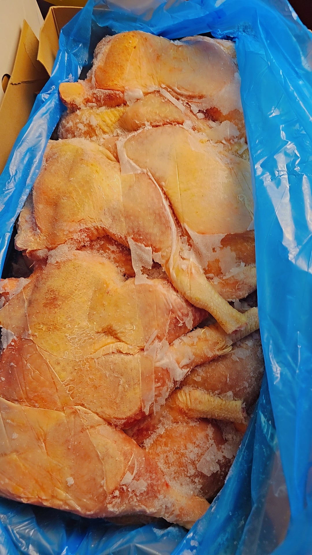 Jumbo hard Chicken Laps(HCF or Jolly Breeders Legs/Laps) freshly slaughtered.